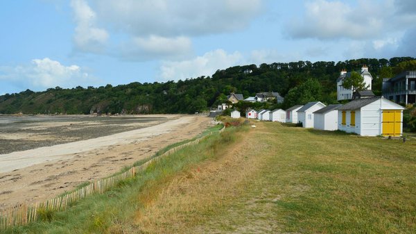 Location minibus avec chauffeur : confort et flexibilité assurés !